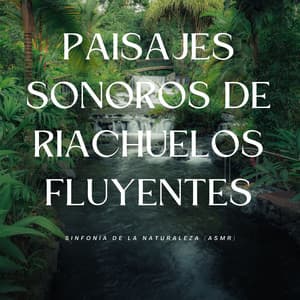 Paisajes Sonoros De Riachuelos Fluyentes: Sinfonía De La Naturaleza - Calma ASMR White Soughs