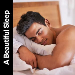 A Beautiful Sleep - Lily's Corner