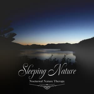 眠れるネイチャーヒーリング - Healing Energy