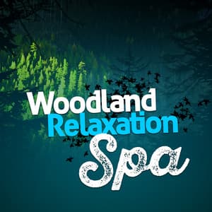 Woodland Relaxation Spa - Forest Sounds Relaxing Spa Music Singing Birds