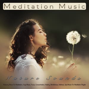 Meditation Music: Relaxing Music and Nature Sounds For Meditation, Yoga Music, Focus, Concentration, Healing, Mindfulness, Wellness, Spa Music For Meditation Playlist and Sleeping Music - 1 Hour Meditation