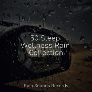 50 Sleep Wellness Rain Collection - Cascada de Lluvia
