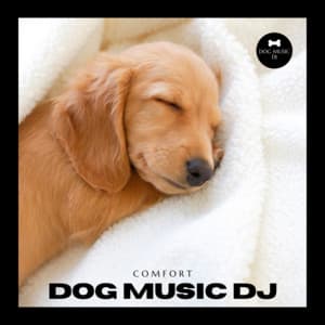 Dog Music: Comfort - Dog Music DJ