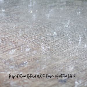 Perfect Rain Natural White Noise Meditation Vol. 2 - White Noise
