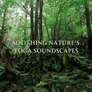 Soothing Nature's Yoga Soundscapes - Whispers of Yoga in Nature's Embrace