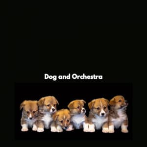 Dog and Orchestra - Kaffeehaus Jazz