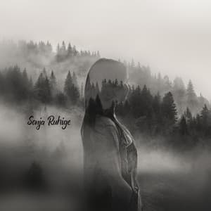 Verloren im Dazwischen - Sonja Ruhige