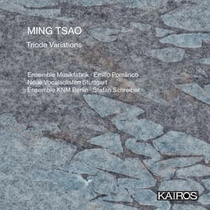 Ming Tsao: Triode Variations - Ming Tsao