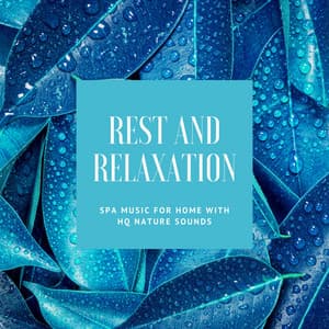 Rest and Relaxation - Spa Music for Home with HQ Nature Sounds - Buddha Harmony