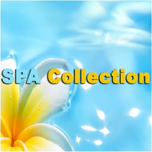 Spa Collection - Massage Therapy Ensamble