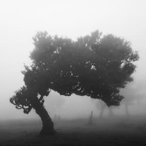 1st Melodic Noise Machine: Infinite Grey Horizon - White Noise Therapy