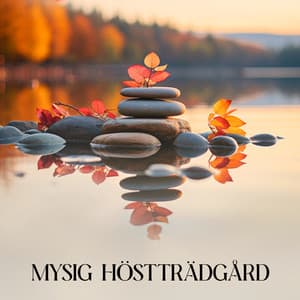 Mysig höstträdgård: Djupt avkopplande meditation i Zen-trädgården för att hitta inre frid - Lugn Musik Atmosfär