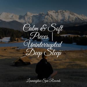 Calm & Soft Pieces | Uninterrupted Deep Sleep - Ambient Music Therpy