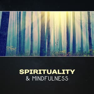 Spirituality & Mindfulness – 111 Songs for Meditation, Yoga Relaxation Music, Heal Your Soul, Soothe Your Mind, Feel Good, Self Improvement - Spiritual Transformation Music Academy
