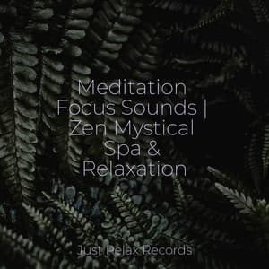 Meditation Focus Sounds | Zen Mystical Spa & Relaxation - Dog Music