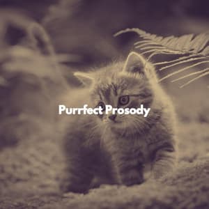 Purrfect Prosody - Calming Music for Cats