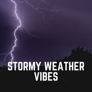 Stormy Weather Vibes - Thunder Storms & Rain Sounds