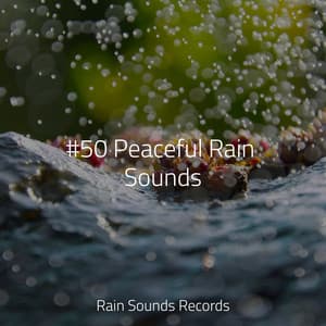 #50 Peaceful Rain Sounds - Calming Waves