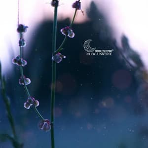 Weightless Midnight, Somnia Nocturne - Trouble Sleeping Music Universe