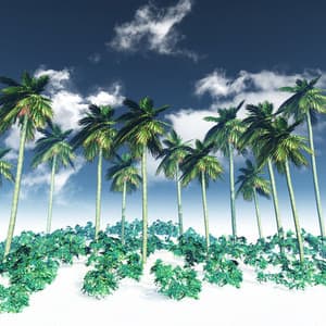 Palm Tree Vibes - Chillout Beach Beats