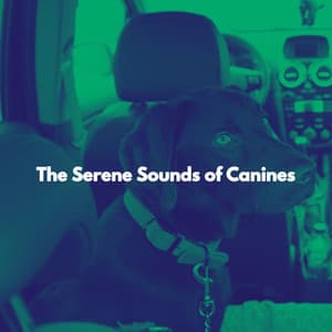 The Serene Sounds of Canines - Music For Dogs