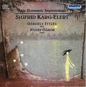 Karg-Elert: Piano Sonata in B-Flat Major / Impressions Exotiques / Suite Pointillistique - Sigfrid Karg-Elert