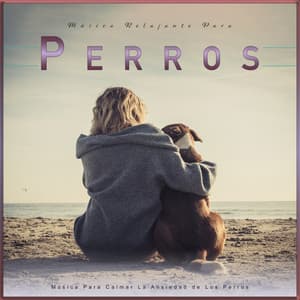 Música Relajante Para Perros: Música Para Calmar La Ansiedad de Los Perros - Música Para Perros