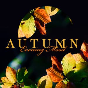 Autumn Evening Mood – Jazz Music for Pleasant Time, Relaxing Moment and Perfect Meeting - Calming Piano Music Collection