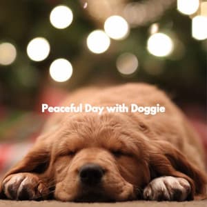 Peaceful Day with Doggie - Classy Bossa Piano Jazz Playlist