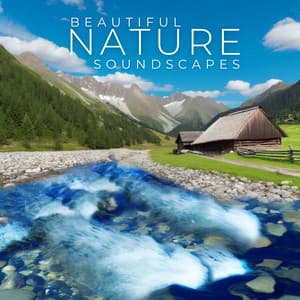 Beautiful Nature Soundscapes: Relaxing Music for Stress Relief - Natures Orchestra
