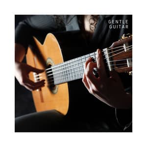 Gentle Guitar: Chill Music - Guitar Music Zone