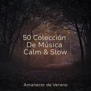 50 Colección De Música Calm & Slow - CANCIONES DE CUNA