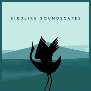 Birdlike Soundscapes: Sounds of Birds for Relaxation, Spa, Sleep Meditation - Forest Hills Music Universe