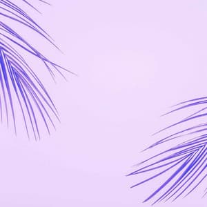 Organic Guitar Music - Background for Listening Tales - Chill Vibes