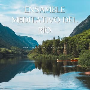 Ensamble Meditativo Del Río: Coro Sereno De La Naturaleza - Reiki y Tai Chi Armonía