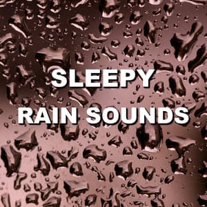 Sleepy Rain Sounds - Wind and Rain Sounds