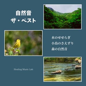 Nature Sounds: The Best Collection - Flowing Water, Chirping Birds, and Forest Ambience - Healing Music Lab