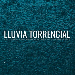 Lluvia Torrencial: Un Relajante Paisaje Sonoro De Tormenta Para Despejar La Mente - Sonidos de hombre de lluvia