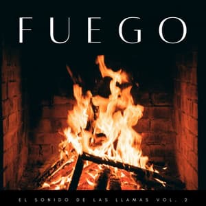 Fuego: El Sonido De Las Llamas Vol. 2 - Reiki y Tai Chi Armonía