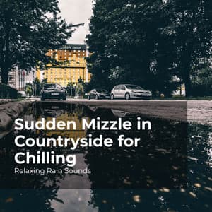Sudden Mizzle in Countryside for Chilling - Relaxing Rain Sounds