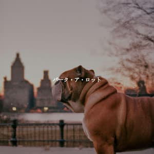 バーク・ア・ロット - New York Restaurant Jazz