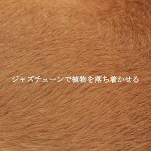 ジャズチューンで植物を落ち着かせる - Music for Retail Greats