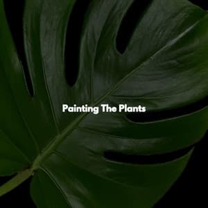Painting The Plants - Instrumental Jazz Music Ambiental