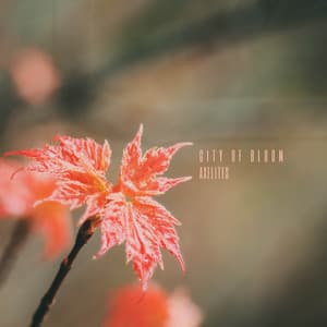 City of Bloom - Axelites