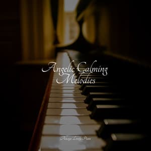 Total Keys for Relaxation - Easy Listening Music