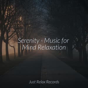 Serenity - Music for Mind Relaxation - Brain Study Music Guys