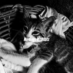 Mornings With Cats - Sensual Jazz Instrumentals