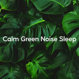 Calm Green Noise Sleep - 125 Nature Sounds