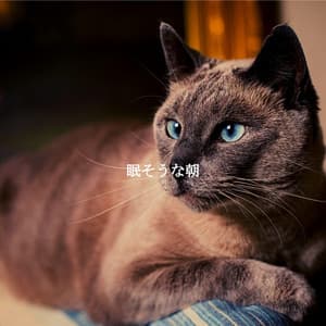 眠そうな朝 - Cooking Jazz