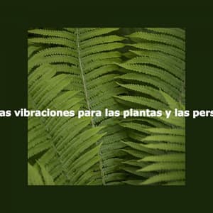 Buenas vibraciones para las plantas y las personas - Musique de Restaurant
